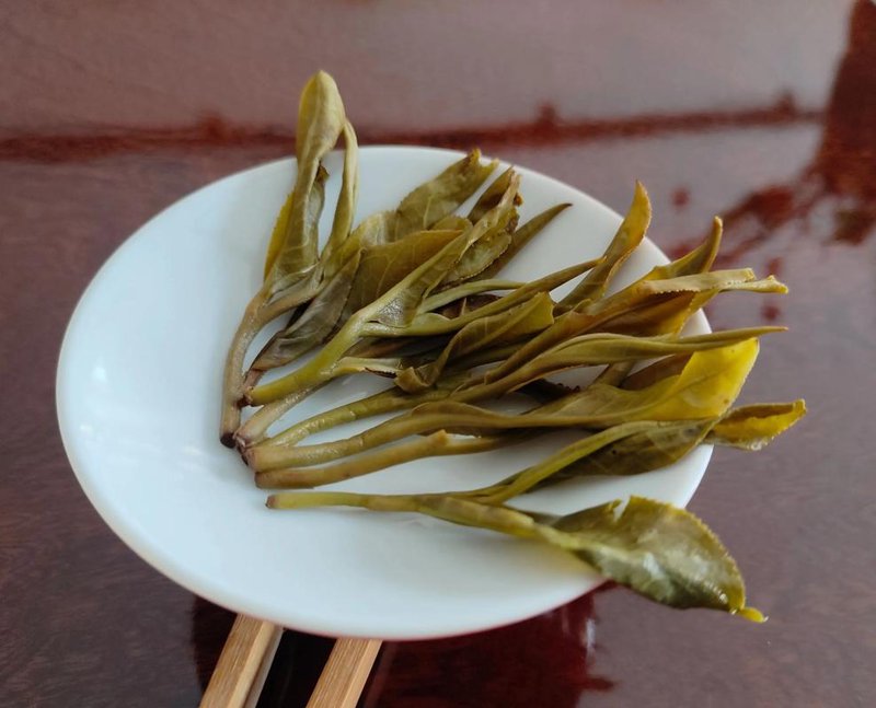 普洱茶批发：传统智慧与现代市场的完美融合