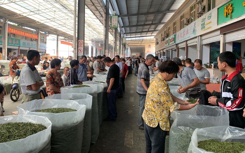 普洱生茶：认清误区，享受纯正口感